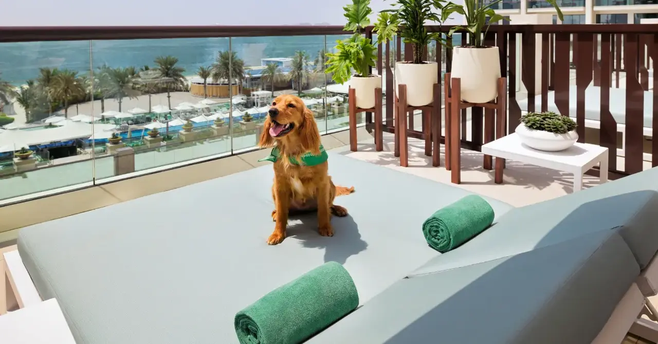 A Luxe Pet-Friendly Staycation at Marriott’s Palm Jumeirah: Where You and Your Dog Are VIPs