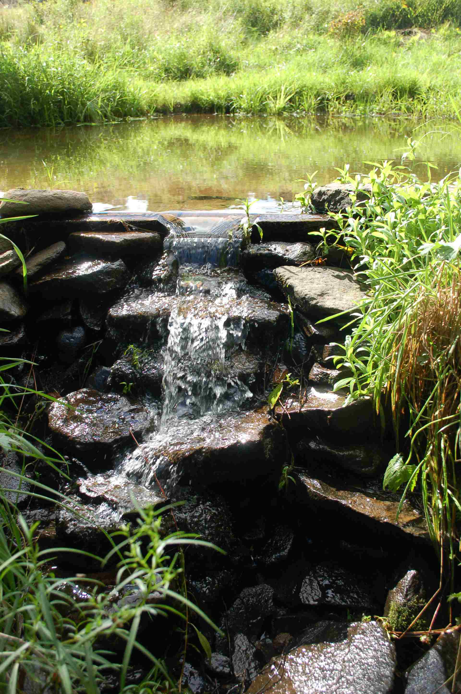 Stream falling over rocks in a sunny field