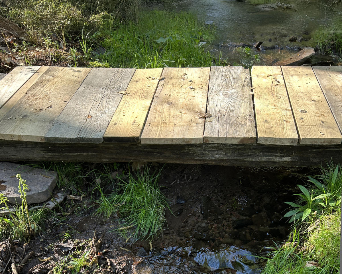 Small wooden footbridge over a clear stream.