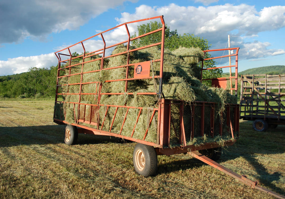 Red hay wagon loaded with cut hay in a farm field.