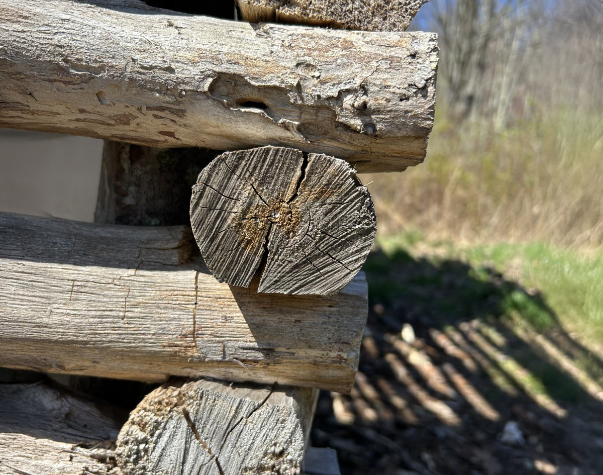 Close-up of a log cabin corner with stacked, weathered logs and cracked end grain.
