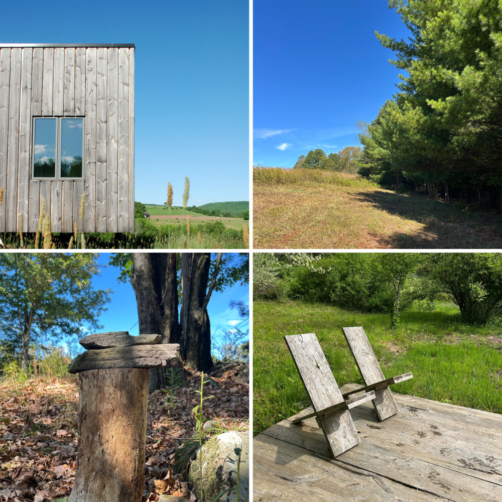 Four-photo collage of a modern wood-clad cabin and surrounding meadow, trees, and rustic outdoor seating.