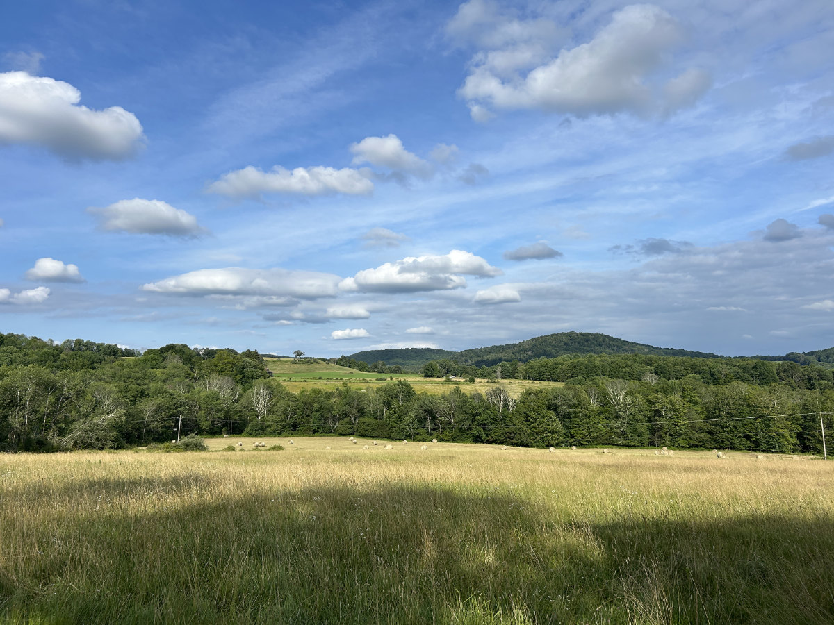 Grassy field with trees and mountains in the distance.