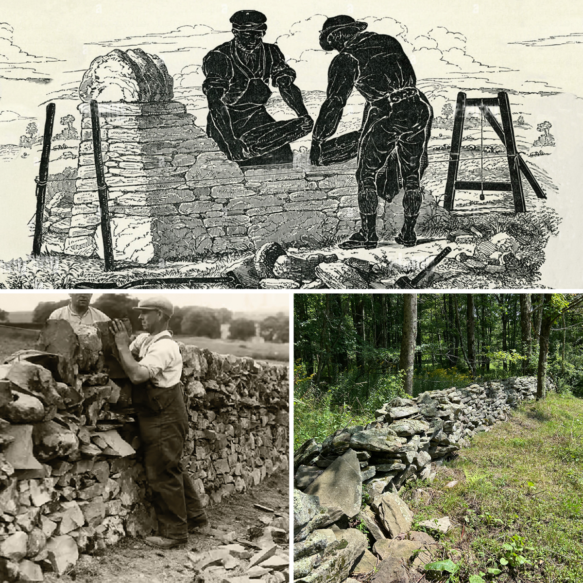 A drawing of two men building a stone wall and two photos of similar stone walls, one with a man working and another showing a finished wall in a forested area.
