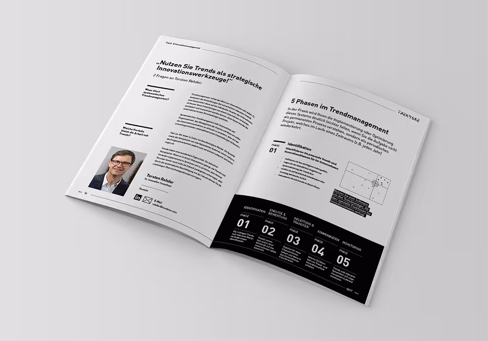 TRENDONE Whitepaper Trend- und Innovationsmanagement 03 Phasen
