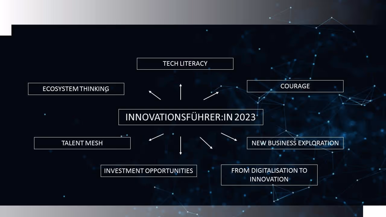 Overview of innovation leader traits