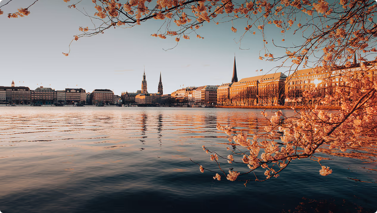 Stadtansicht von Hamburg bei Sonnenuntergang mit blühenden Kirschblüten am Ufer und Spiegelungen im Wasser.