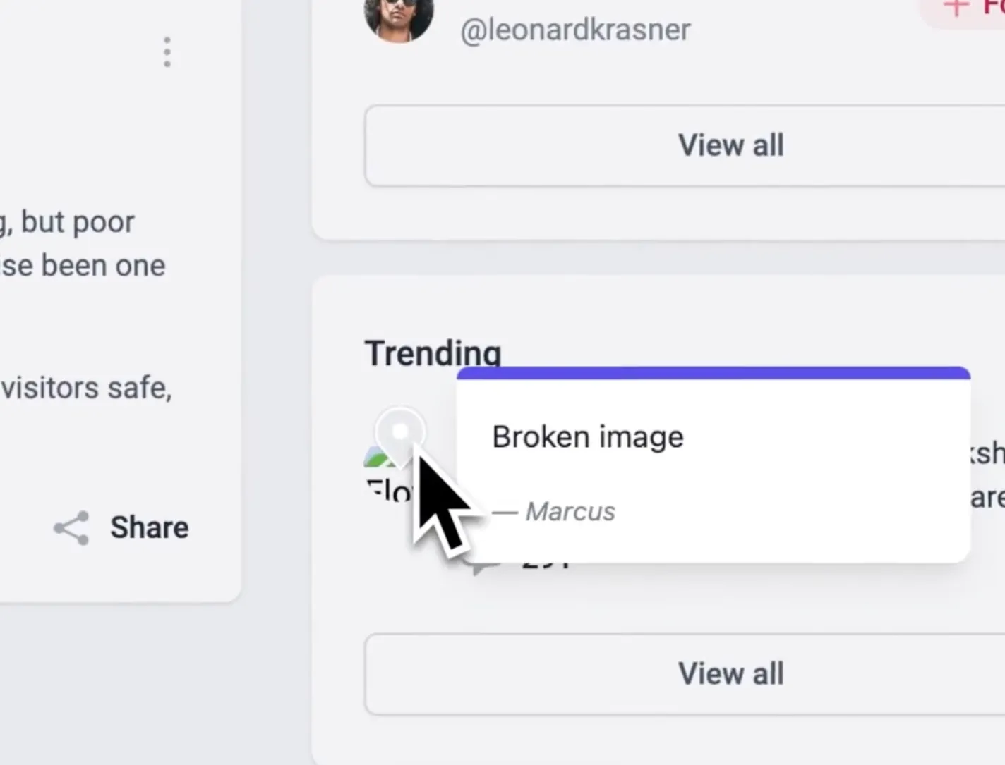 Feedbucket shows the submitted bug reports as pins on the website.