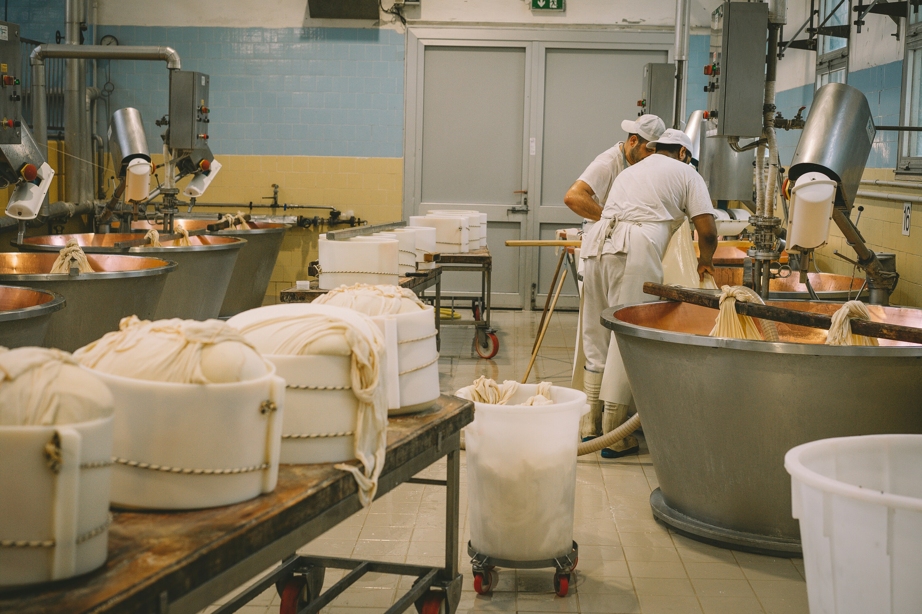 Large food production kitchen with hygiene-compliant team — independent food safety assessment across multi-site operations