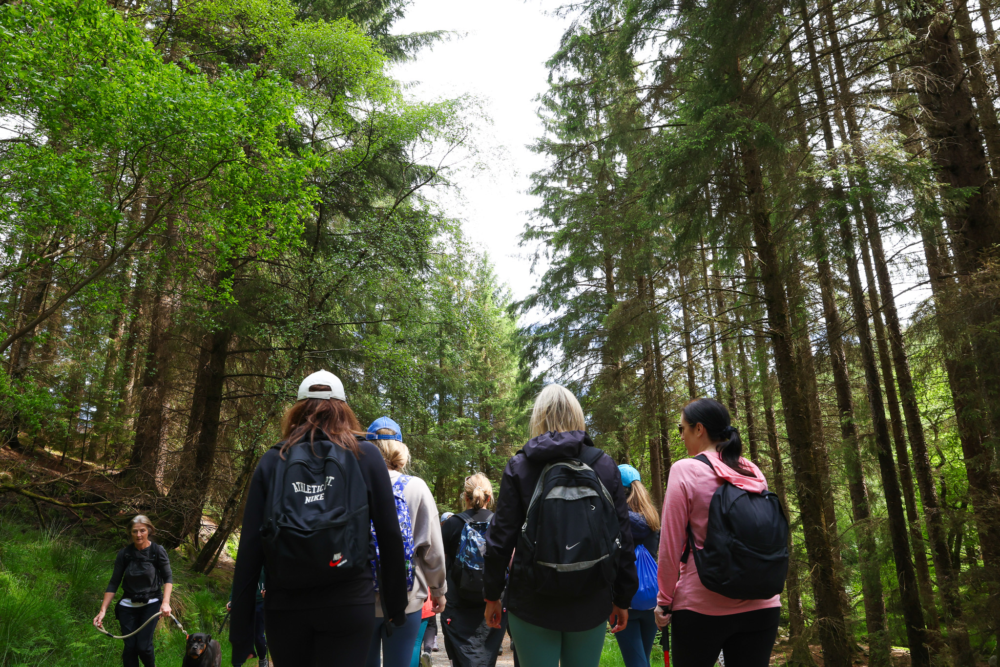 outdoor yoga session for a yoga studio