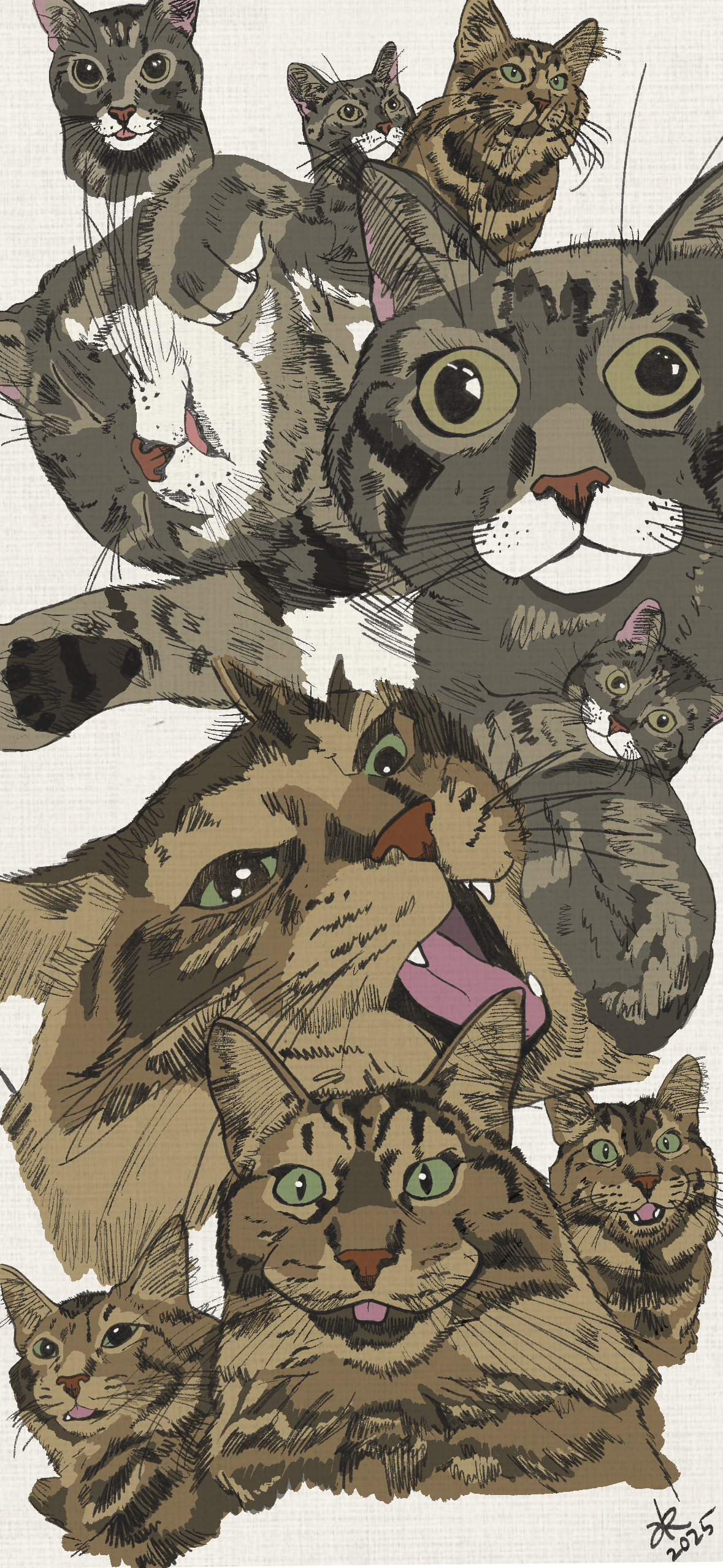 Assorted sketches of two tabby cats.