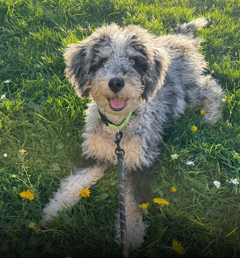 About Testimonial Img