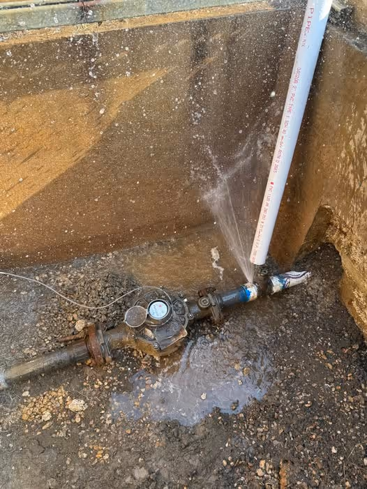 platform | architecture-in-motion | AIM