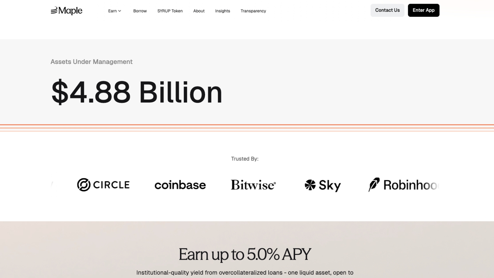 A screenshot of Maple Finance homepage