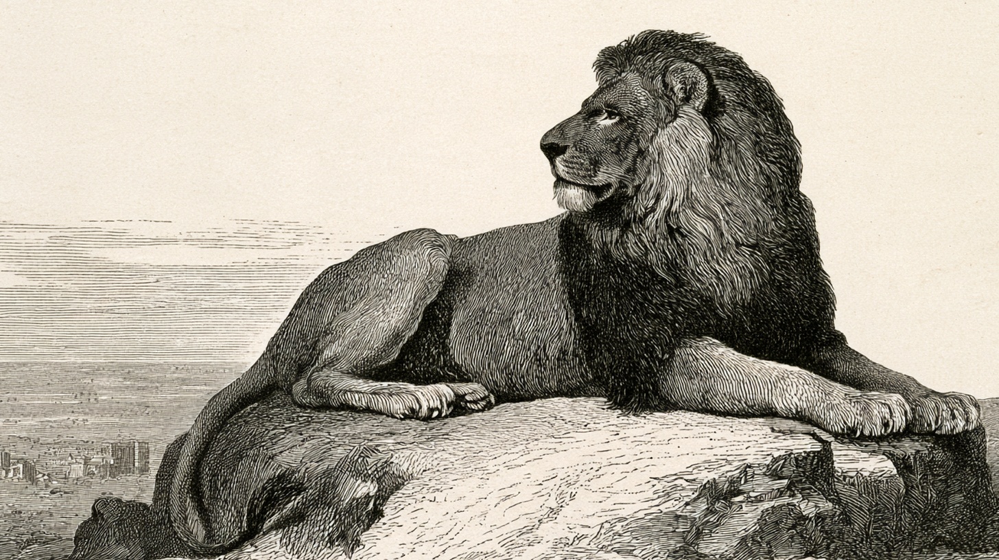 Victorian-style engraved illustration: a lion resting on a rocky outcrop above a distant modern city