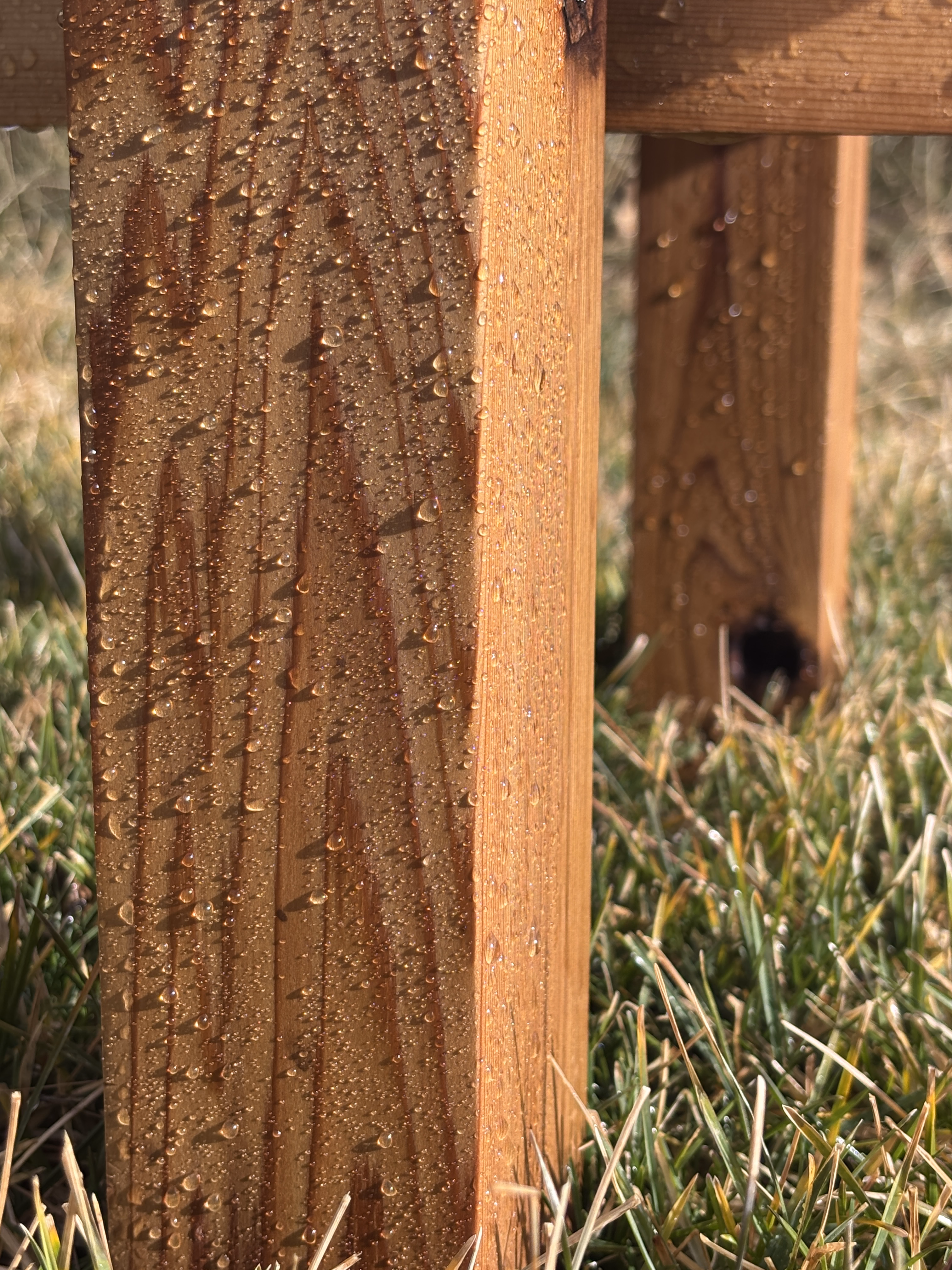 Close-up of wooden fence post with water droplets reflecting sunlight, surrounded by green grass.