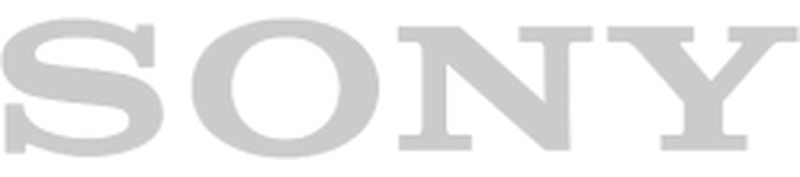 Sony logo (grey)