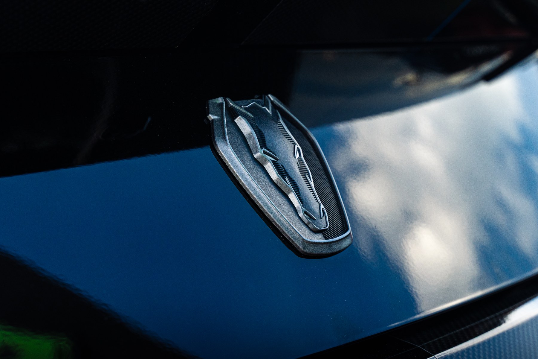 Cowl vent and hood gloss on a ceramic-coated Mustang Dark Horse