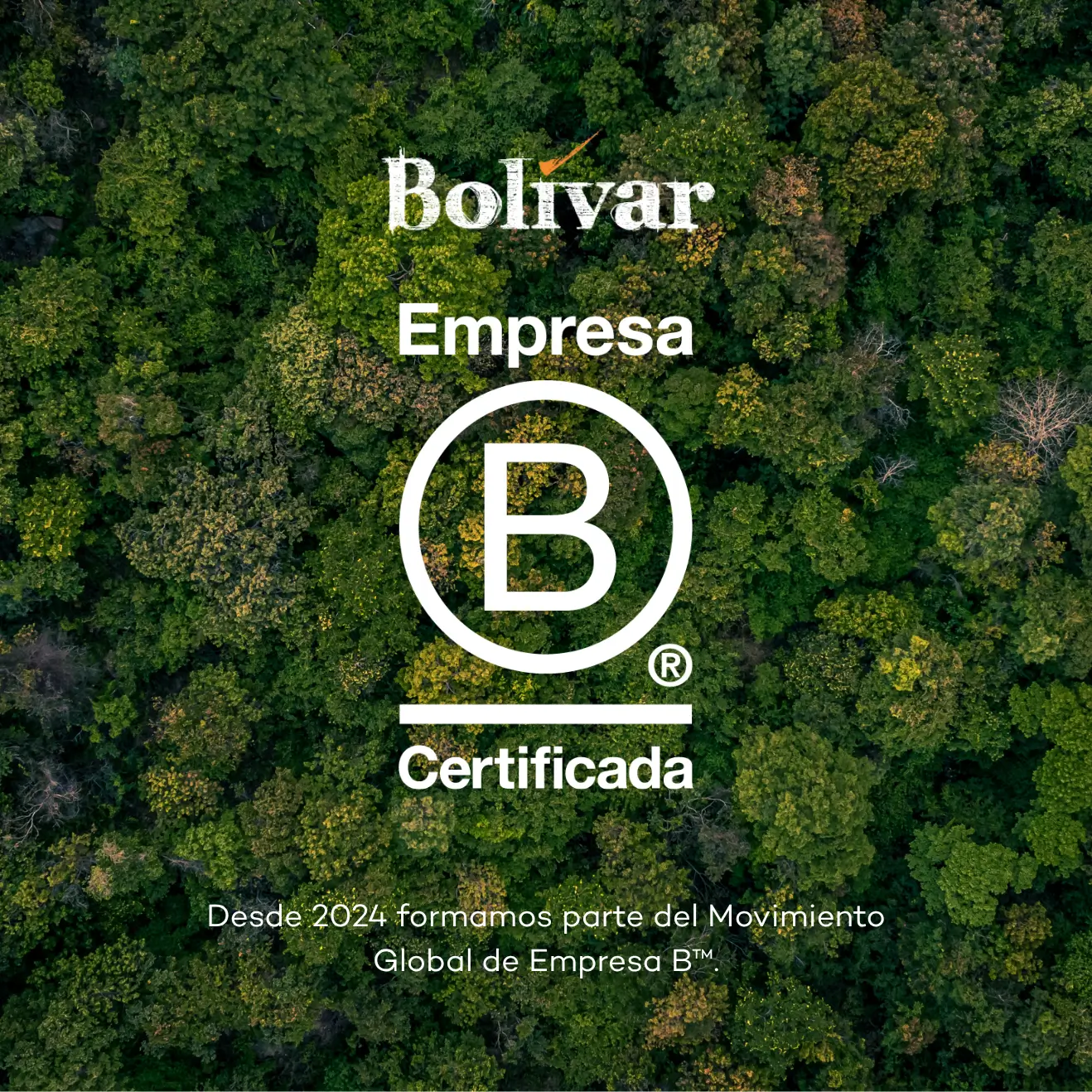 Vista aérea de un bosque verde con el texto 'Bolívar Empresa B Certificada' y nota sobre el movimiento global de Empresas B desde 2024.