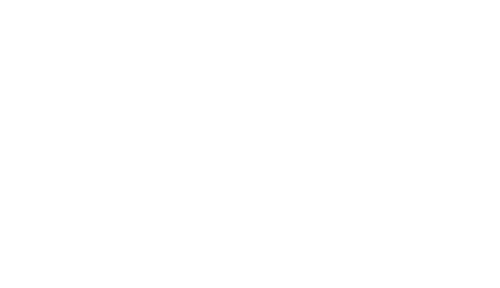 2020INC logo