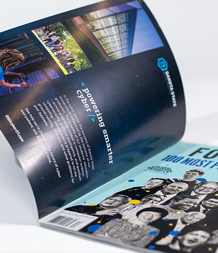 03_LS_Website_Work-DSU_Scroll-TwoColumn_430x500