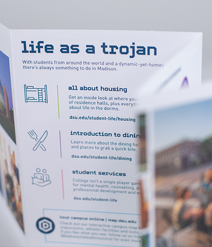 06_LS_Website_Work-DSU_Scroll-TwoColumn_430x500