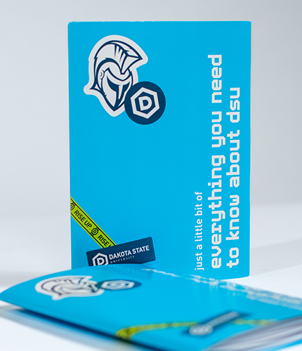 05_LS_Website_Work-DSU_Scroll-TwoColumn_430x500