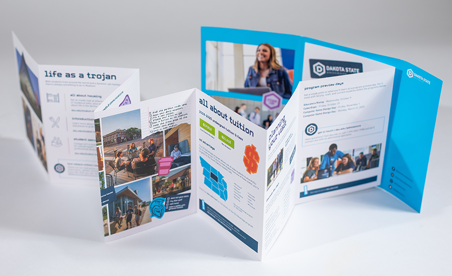07_LS_Website_Work-DSU_Scroll_900x550