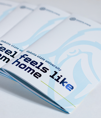 08_LS_Website_Work-DSU_Scroll-TwoColumn_430x500