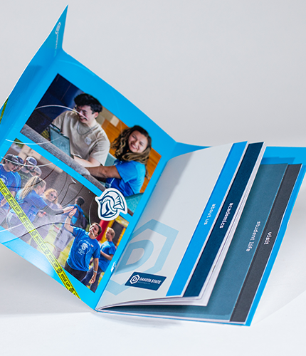 09_LS_Website_Work-DSU_Scroll-TwoColumn_430x500