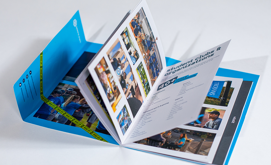 10_LS_Website_Work-DSU_Scroll_900x550