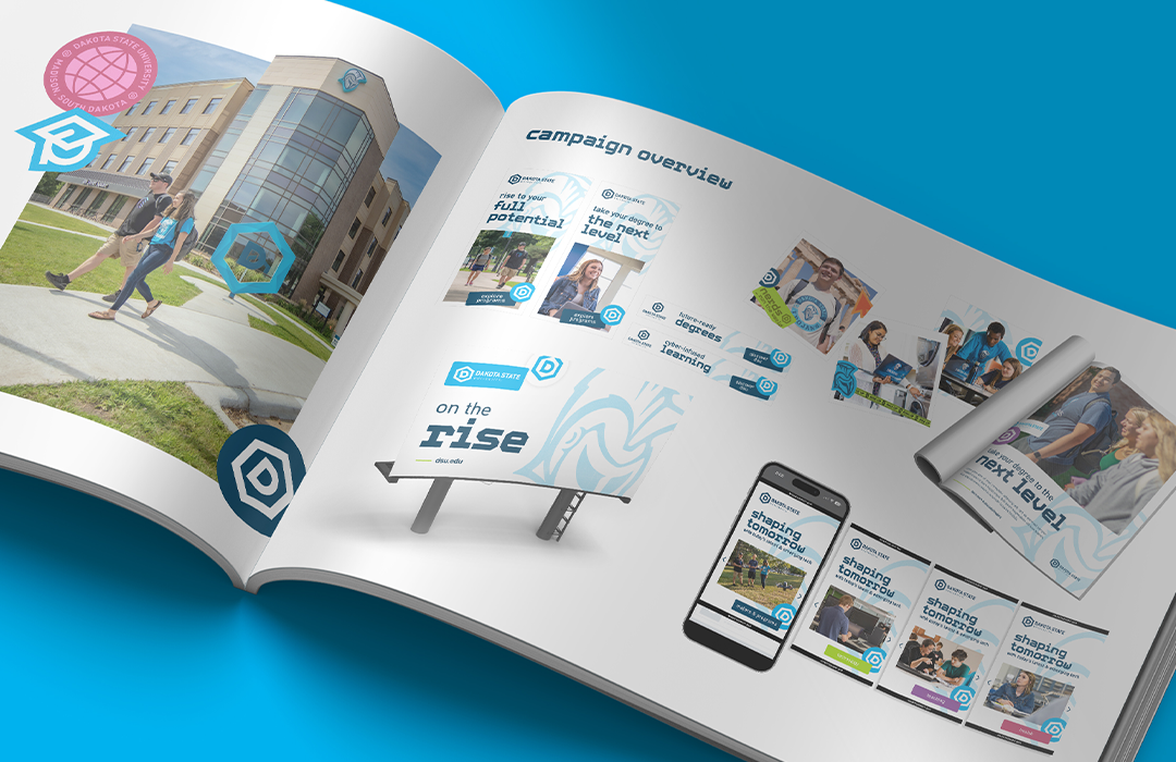 11_LS_Website_Work-DSU_FullWidth_1080x700