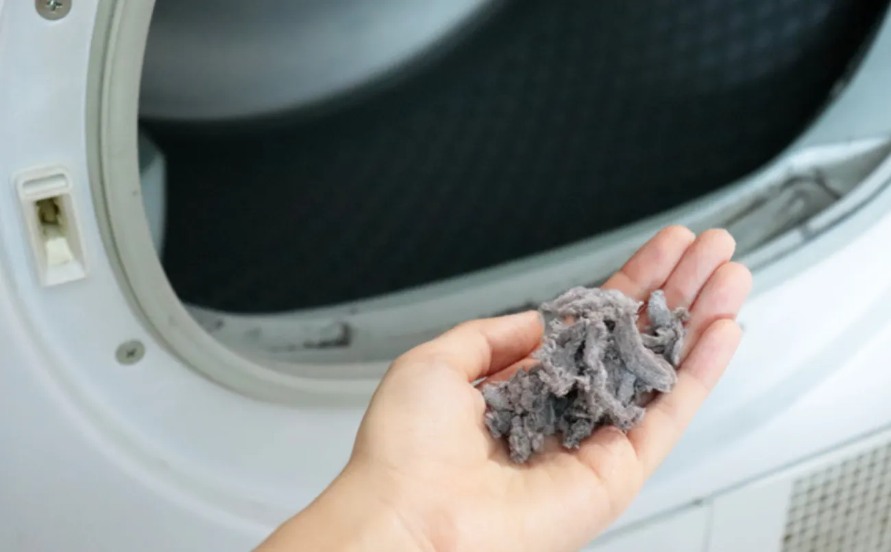 Hand holding lint collected from a clothes dryer lint trap in front of an open dryer door.