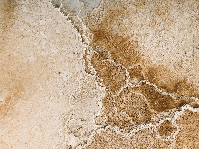footprints and density ncea