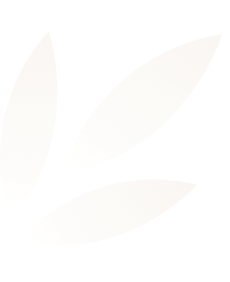 Minimalist design of three white, elongated leaf shapes arranged with pointed tips facing outward on a transparent background.