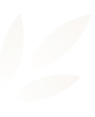 Minimalist design of three white, elongated leaf shapes arranged with pointed tips facing outward on a transparent background.