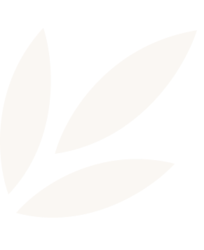Three simple beige leaf shapes on a transparent background.