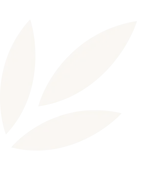Three simple beige leaf shapes on a transparent background.