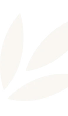 Three off-white leaf shapes on a black background positioned near the bottom left corner.