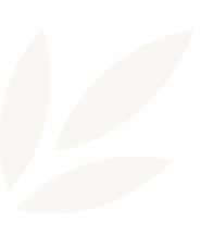 Minimalist illustration of three beige leaves on black background.