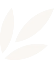 Minimalist illustration of three beige leaves on black background.