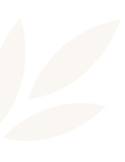 Four off-white leaf shapes arranged in a partial circular pattern on a transparent background.