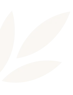 Four off-white leaf shapes arranged in a partial circular pattern on a transparent background.