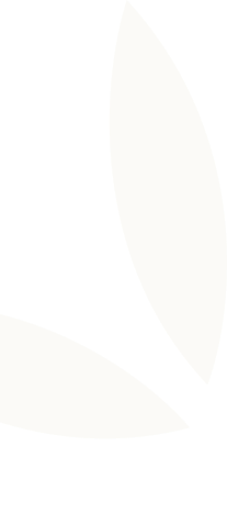 Two curved, elongated beige shapes resembling stylized leaves on a black background.