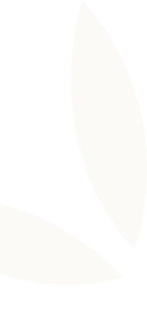 Two curved, elongated beige shapes resembling stylized leaves on a black background.