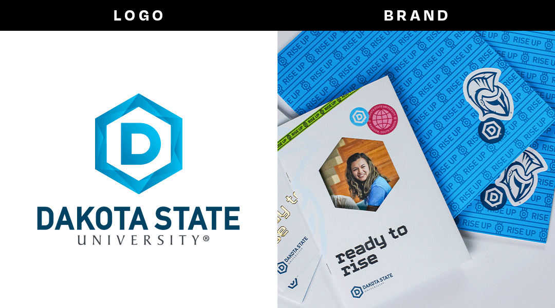 DSU Logo vs Brand