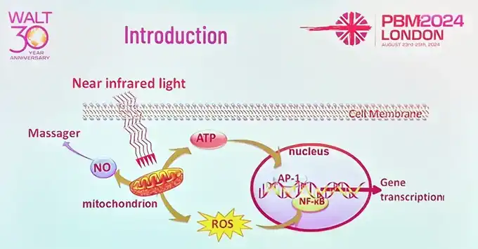 Introduction photobiomodulation