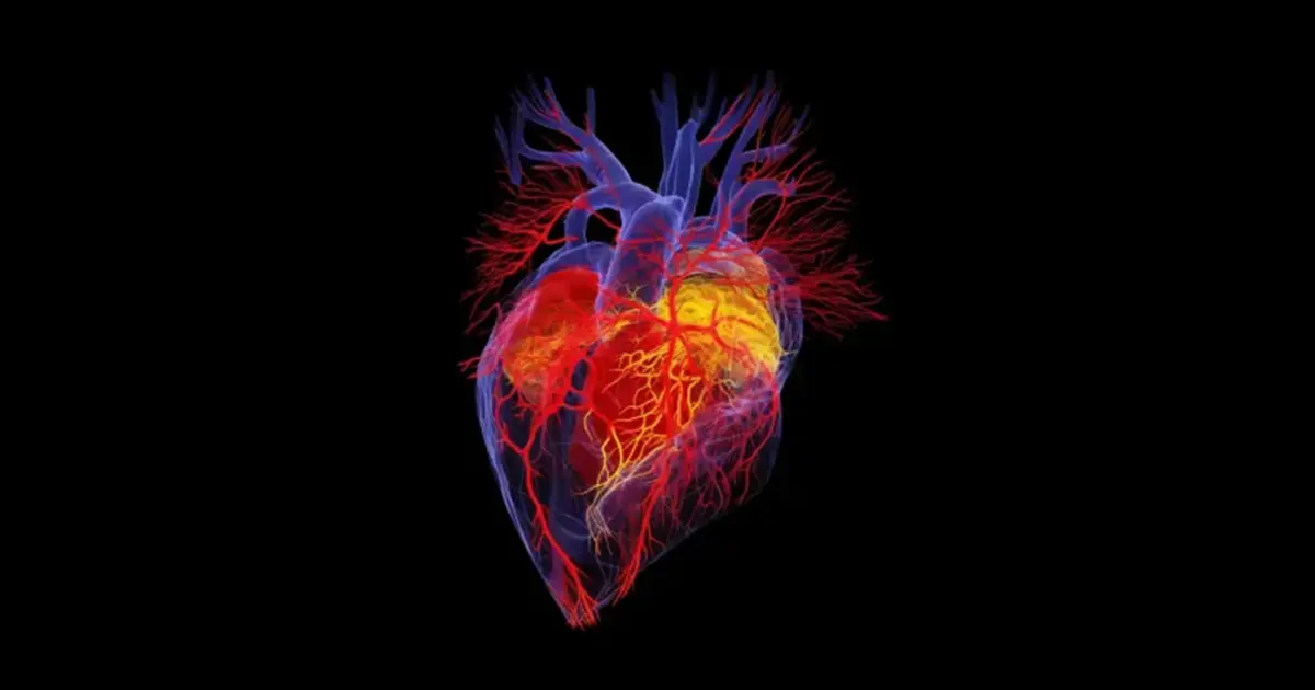 photobiomodulation traitement troubles cardiovasculaires