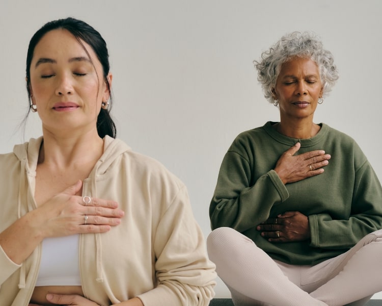 Navigating Stress wellness support from SheMed UK.