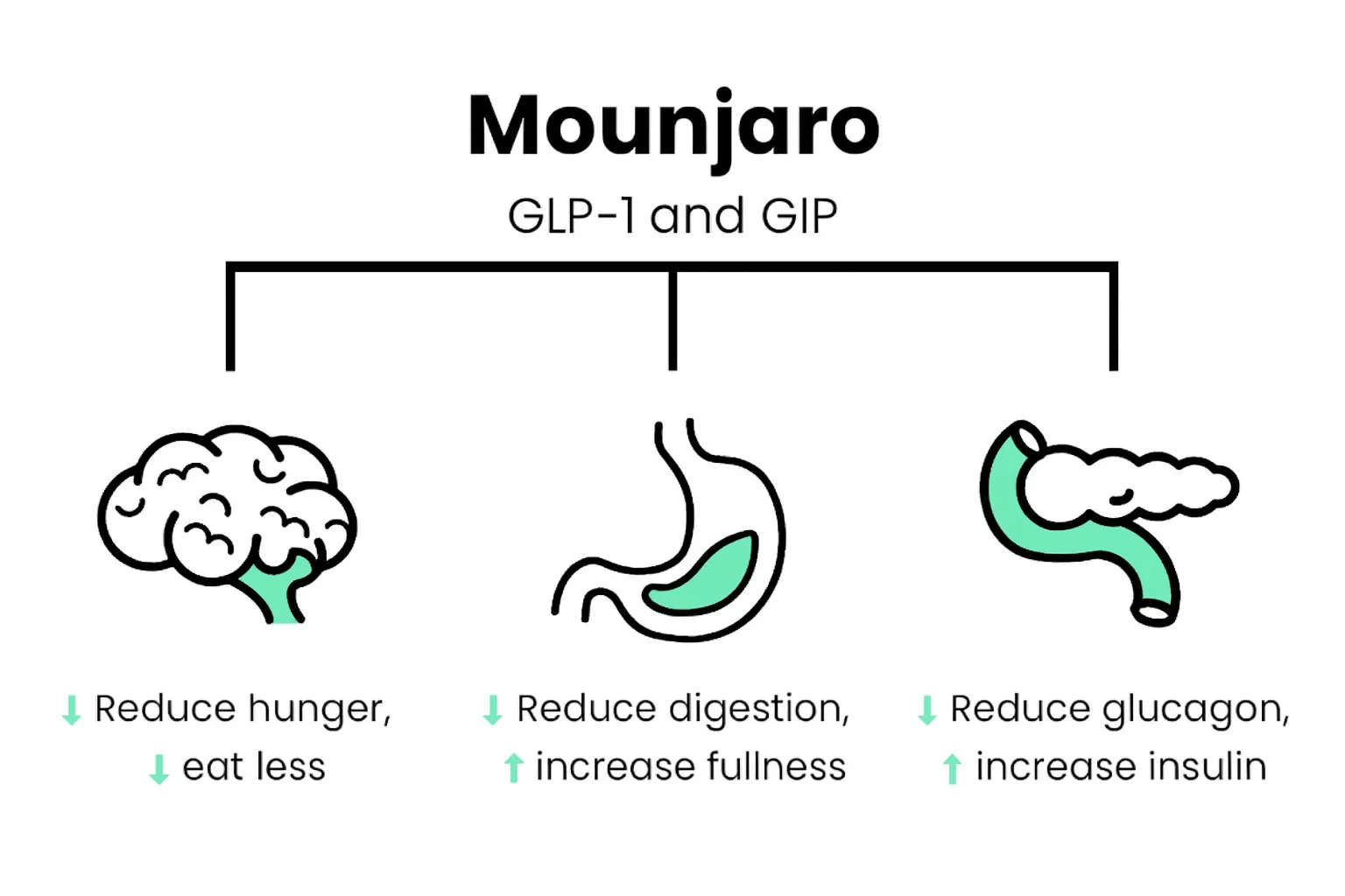 How Mounjaro works illustration.